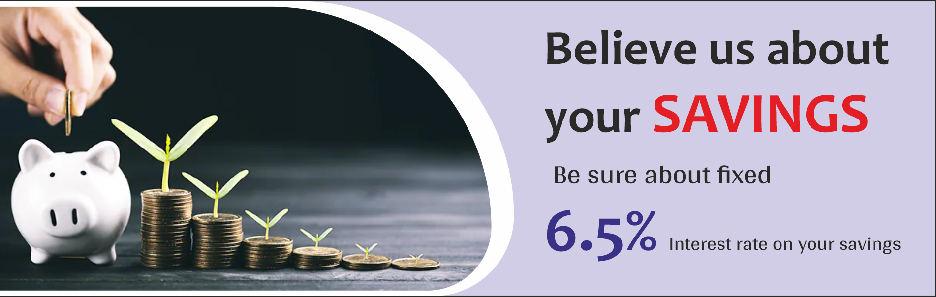 Savings Account
